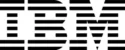 IBM logo